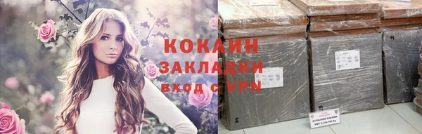 стаф Богданович