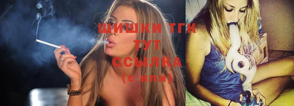 прущие грибы Белоозёрский