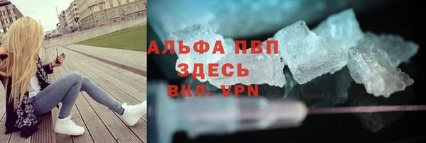 стаф Богданович