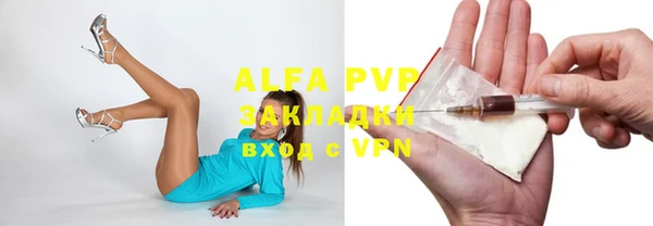 стаф Богданович