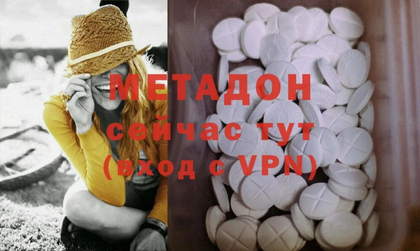 стаф Богданович
