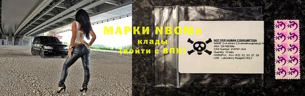 стаф Богданович