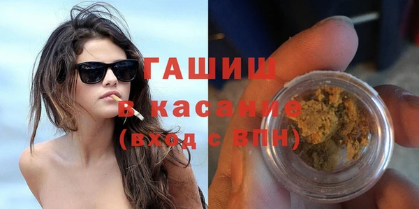 стаф Богданович