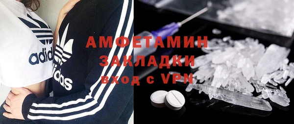 стаф Богданович
