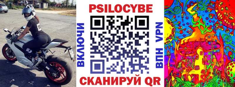 как найти закладки  Мглин  Псилоцибиновые грибы мухоморы 