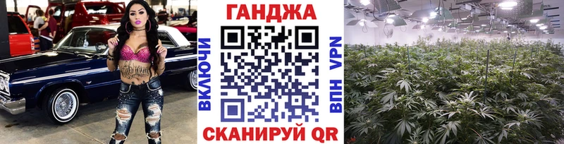 Шишки марихуана планчик Мглин